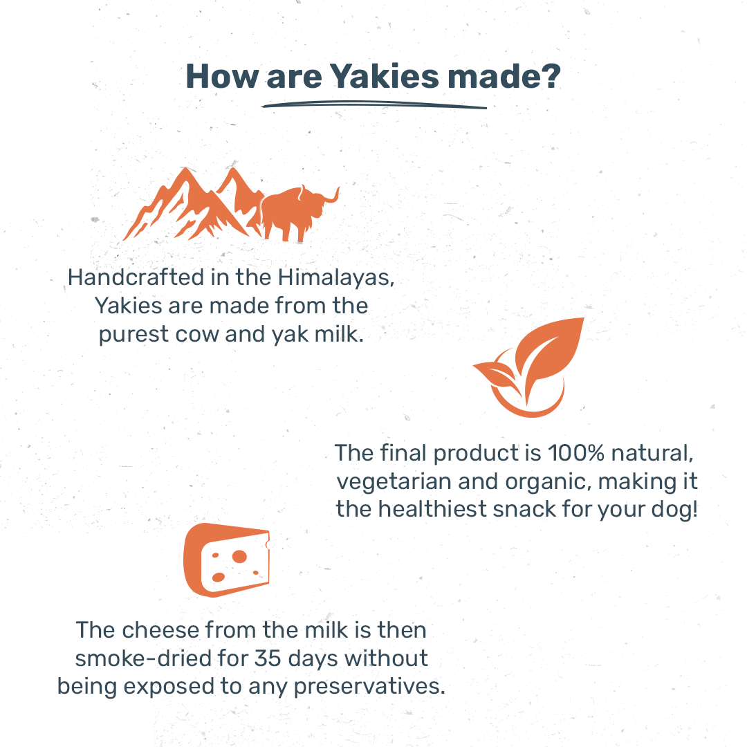 HUFT Wholesome Chicken, Turkey Food & Turmeric Flavour Yakies Combo For Dog