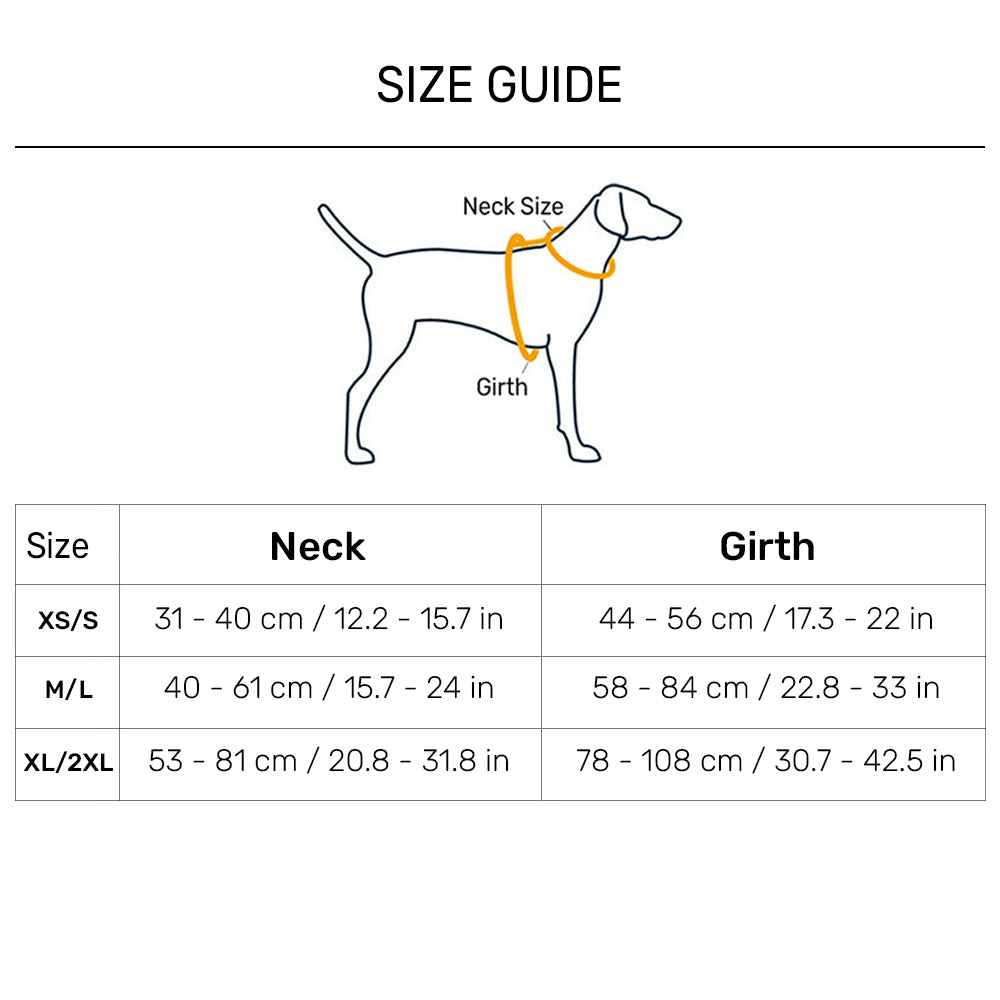 Dash Dog Walk Pro Harness For Dog - Blue & Orange