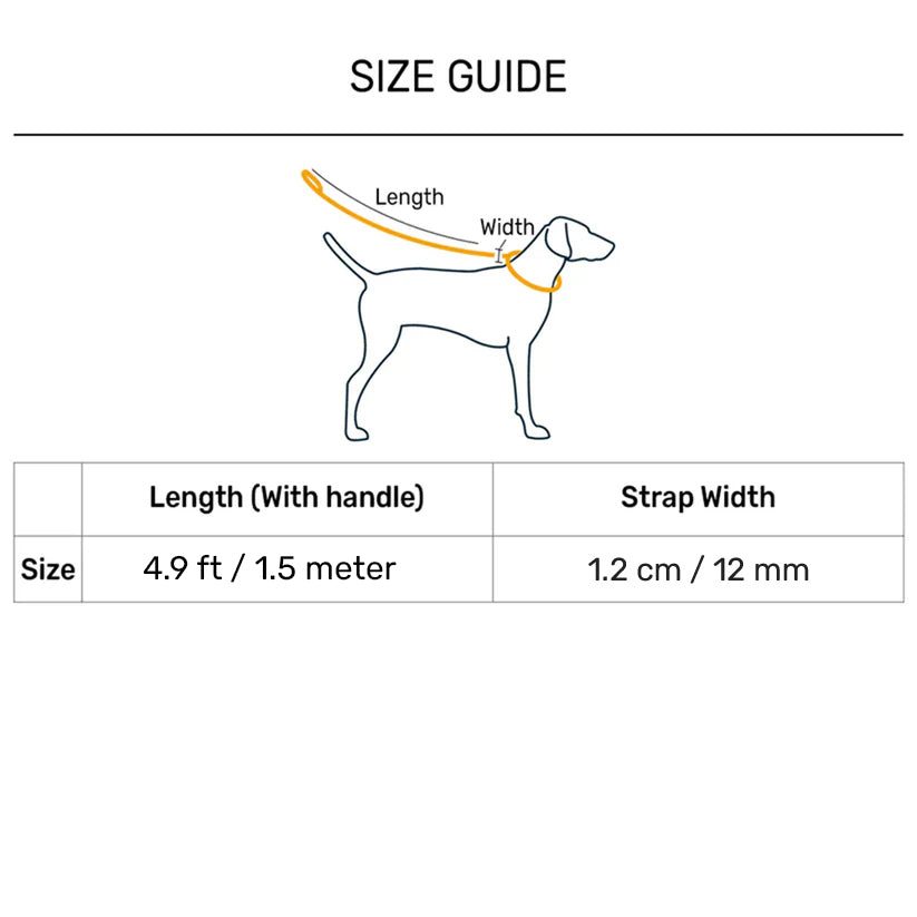 Dash Dog Zoom Easy Leash For Dog - Blue