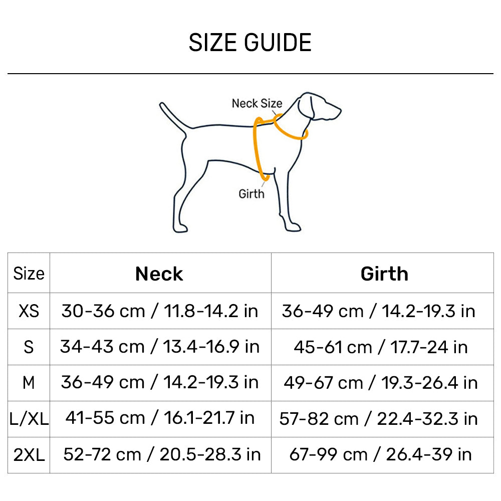 Dash Dog Radiant Blaze Easy Walk Harness For Dog - Orange - Heads Up For Tails