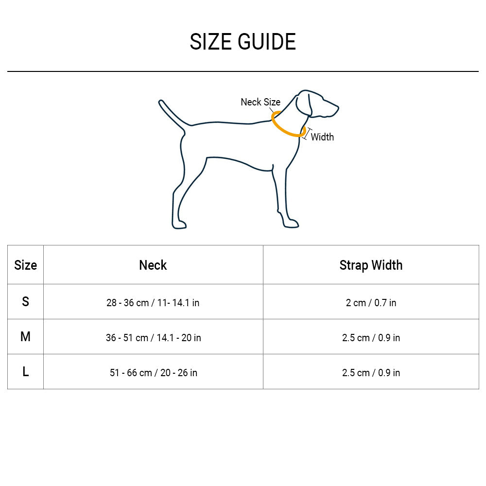 Ruffwear Top Rope Dog Collar - Sunset - Heads Up For Tails