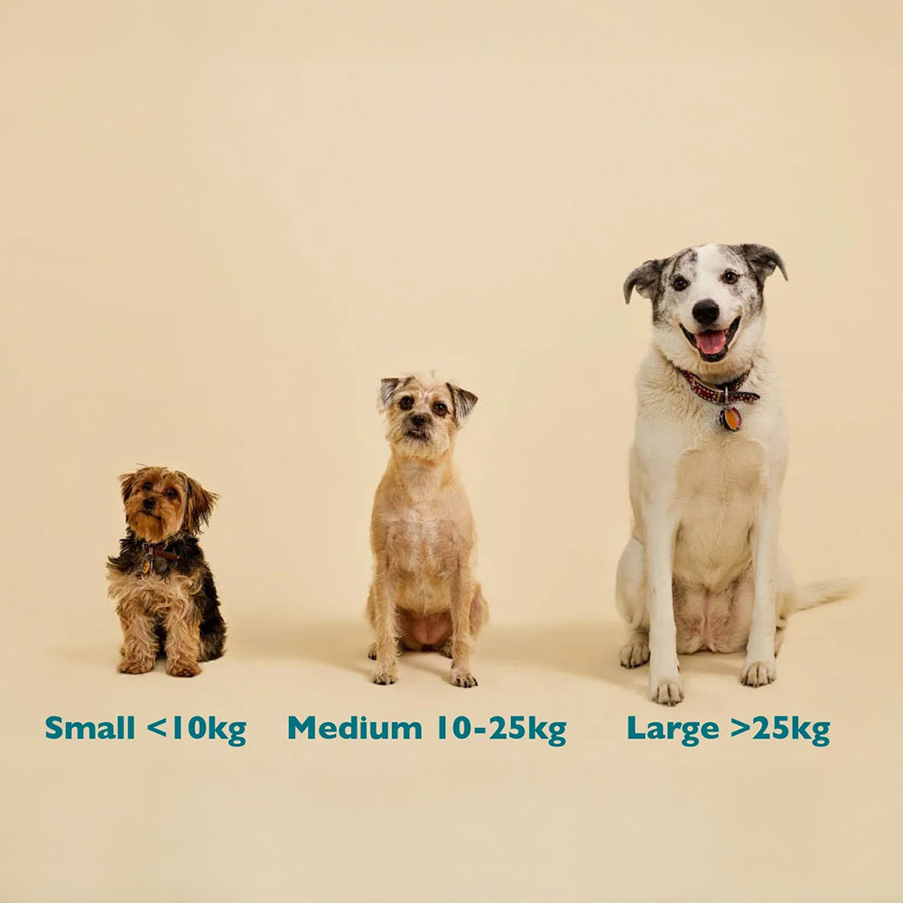 Qurist CBD Oil For Medium Dog (10-25 kg) - 900 mg - 30 ml - Heads Up For Tails