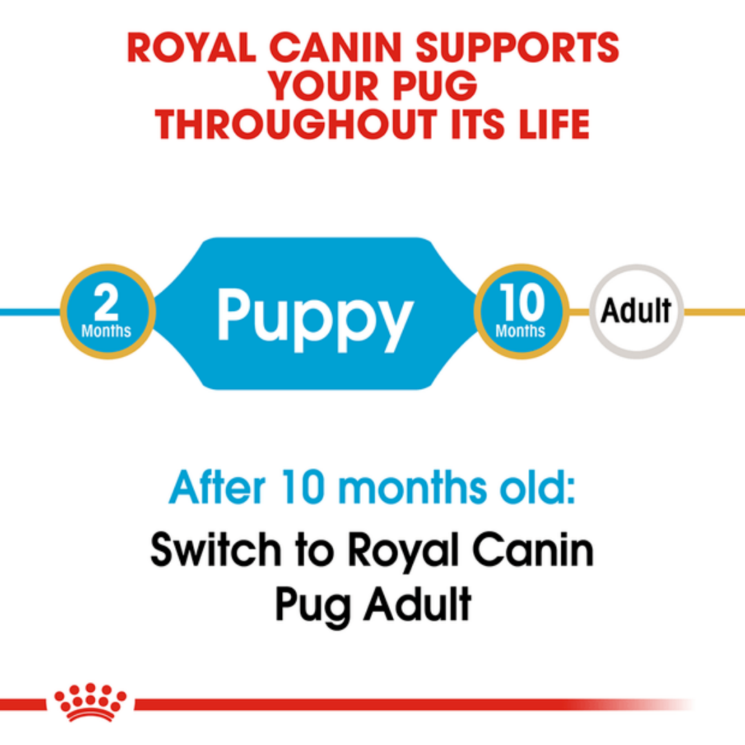 Royal Canin Pug Junior Food for Puppies-6