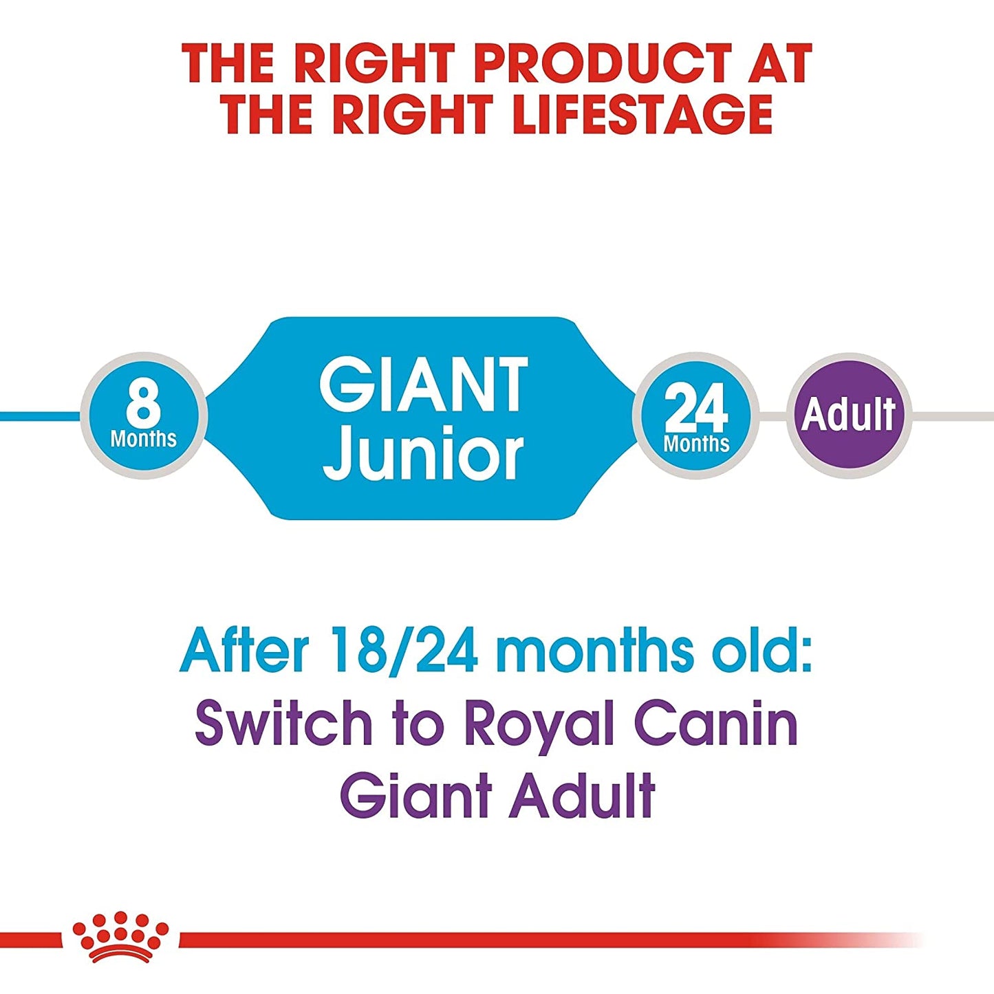 Royal Canin Giant Breed Junior Food For Puppies-6
