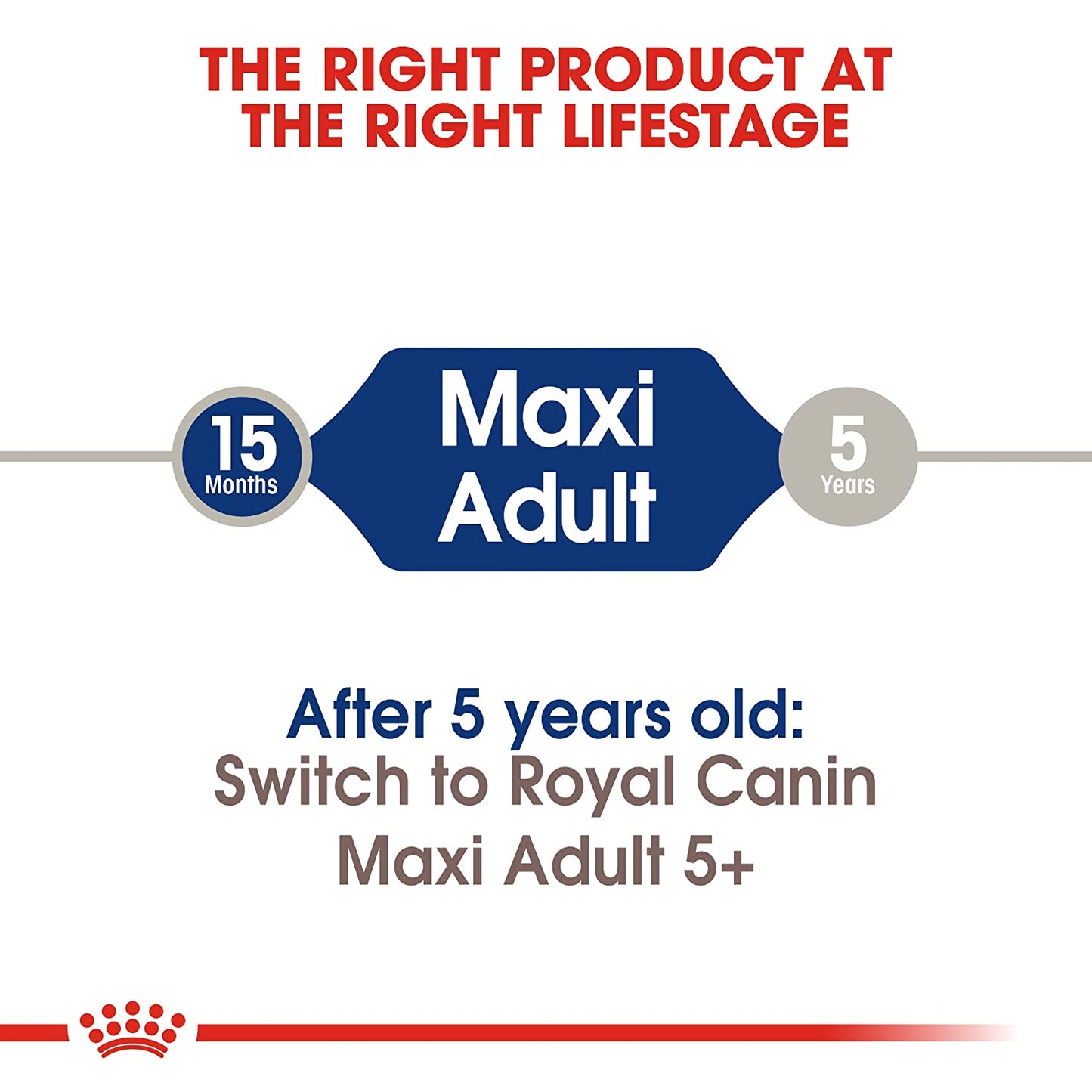 Royal Canin Maxi Breed 5+ Adult Dry Dog Food - 4 kg-6