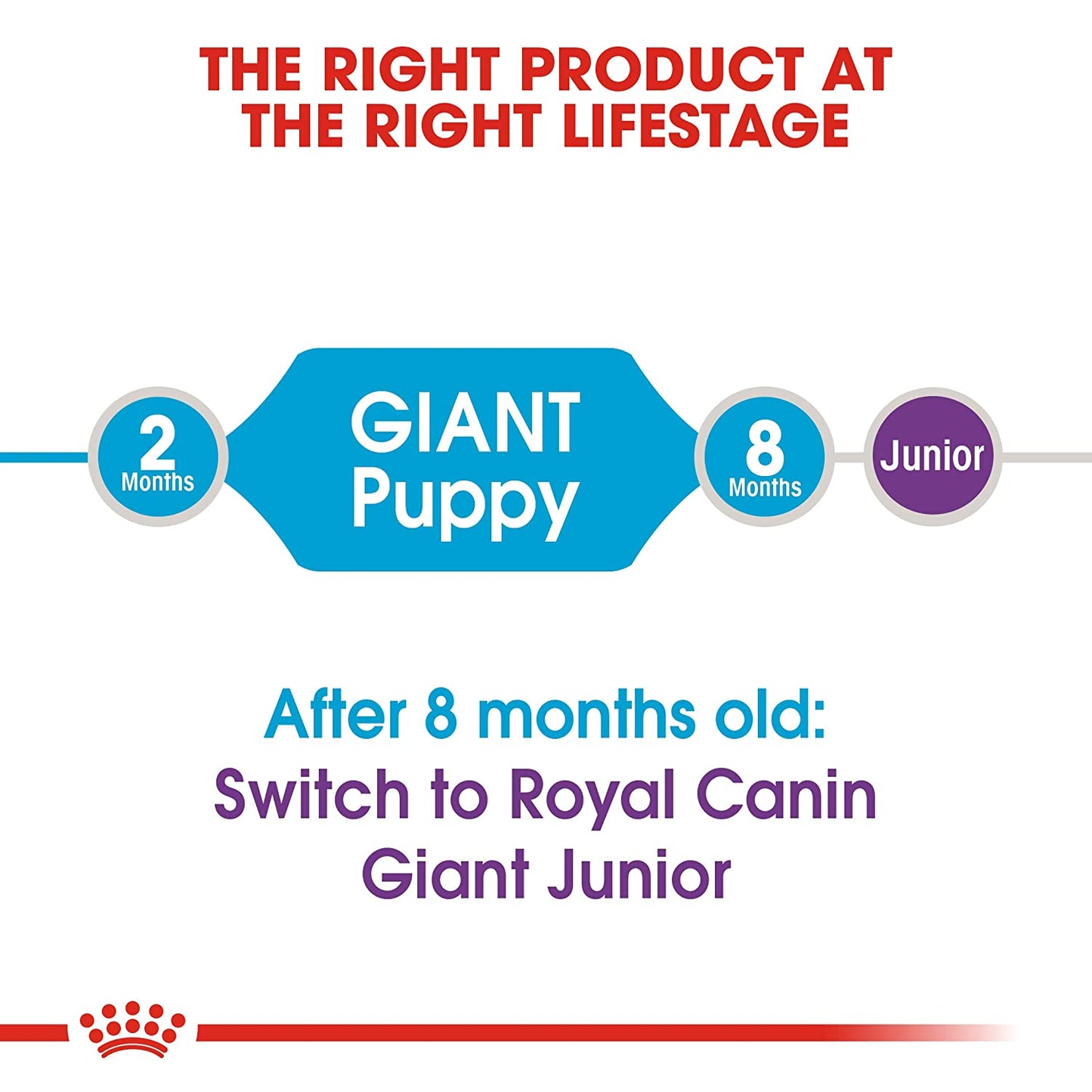 Royal Canin Giant Breed Dry Puppy Food-5