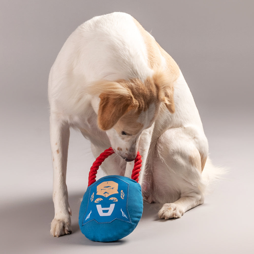 HUFT X©Marvel Captain America Rope Toy for Dogs - Heads Up For Tails