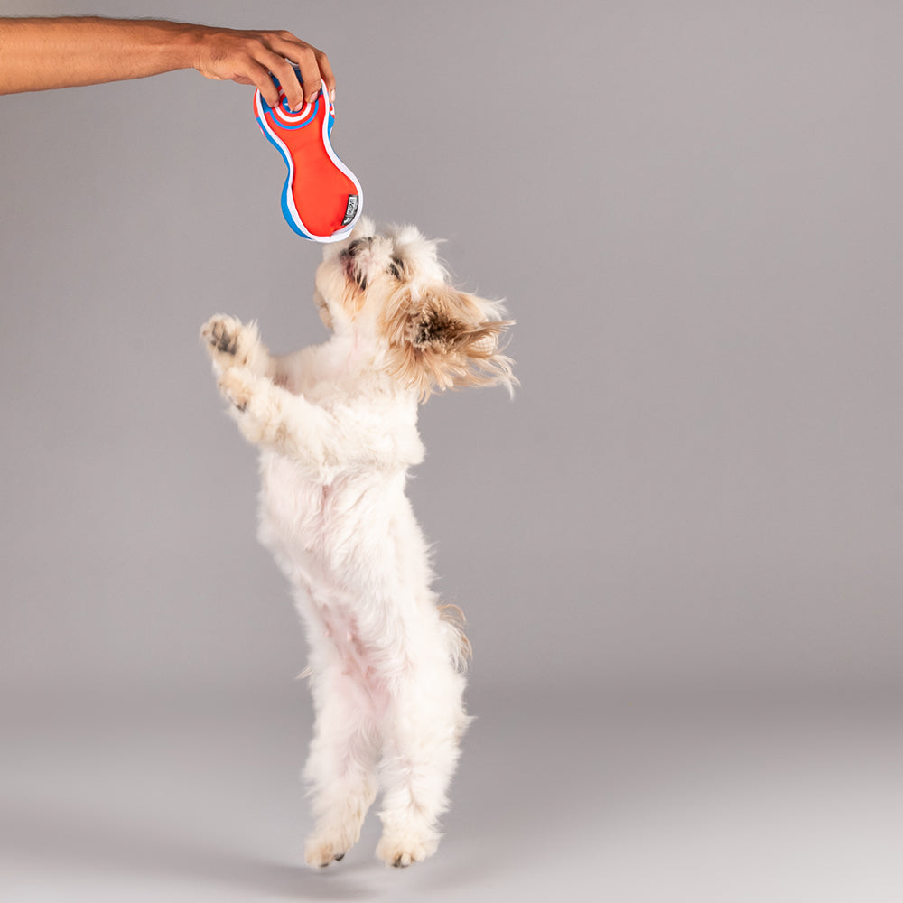 HUFT Marvel Captain America Fetch Dog Toy - Heads Up For Tails