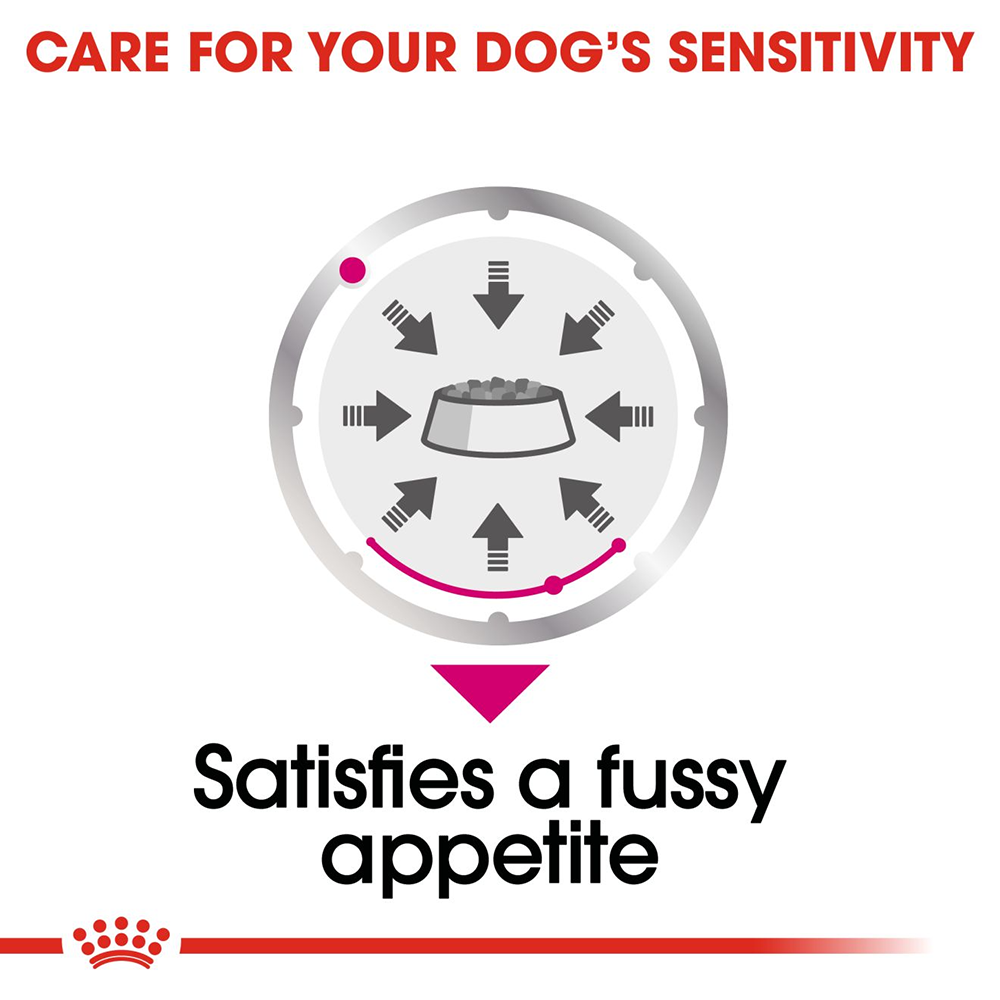 Royal Canin Exigent Wet Dog Food (All Sizes) - 85 g - Heads Up For Tails