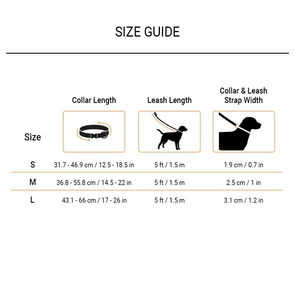 HUFT Colour Chaser Collar and Leash Set for Dogs - Multicolor - Heads Up For Tails