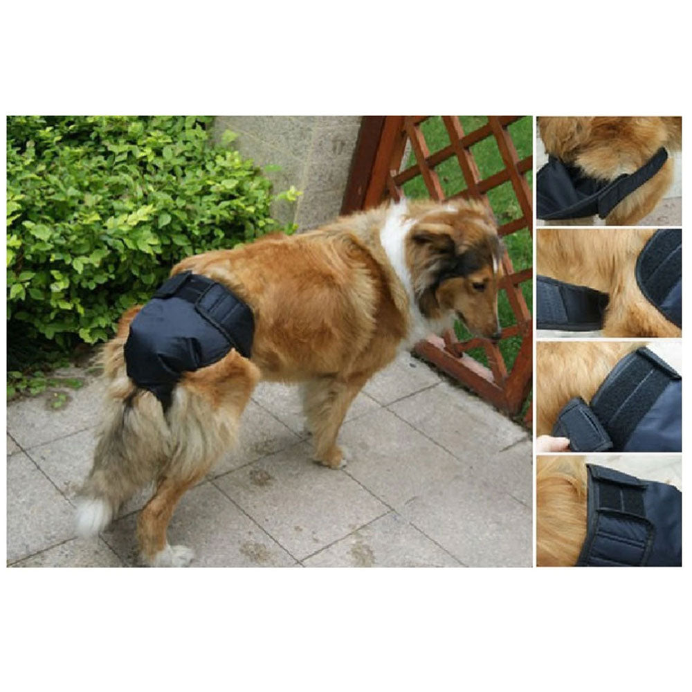Dog Panty - Heads Up For Tails