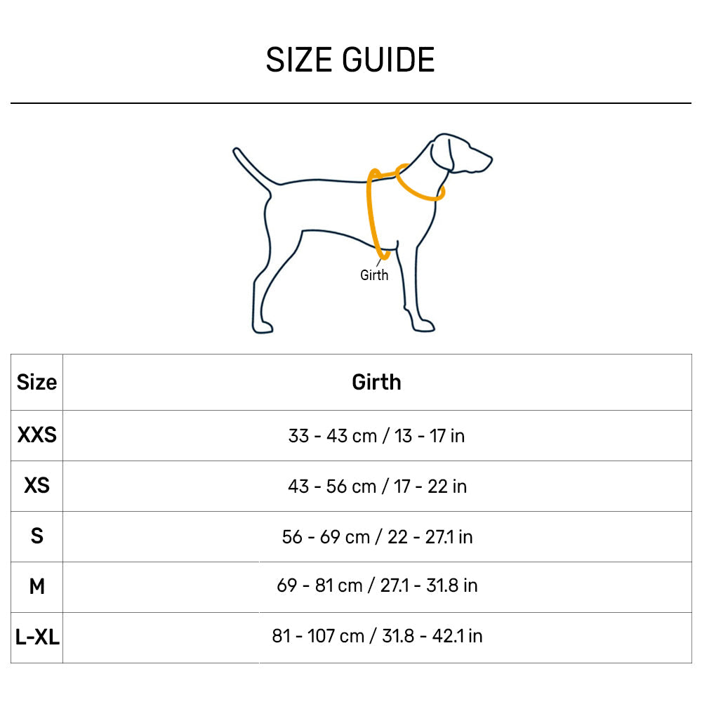 Ruffwear Front Range Dog Harness - Tumalo Teal - Heads Up For Tails