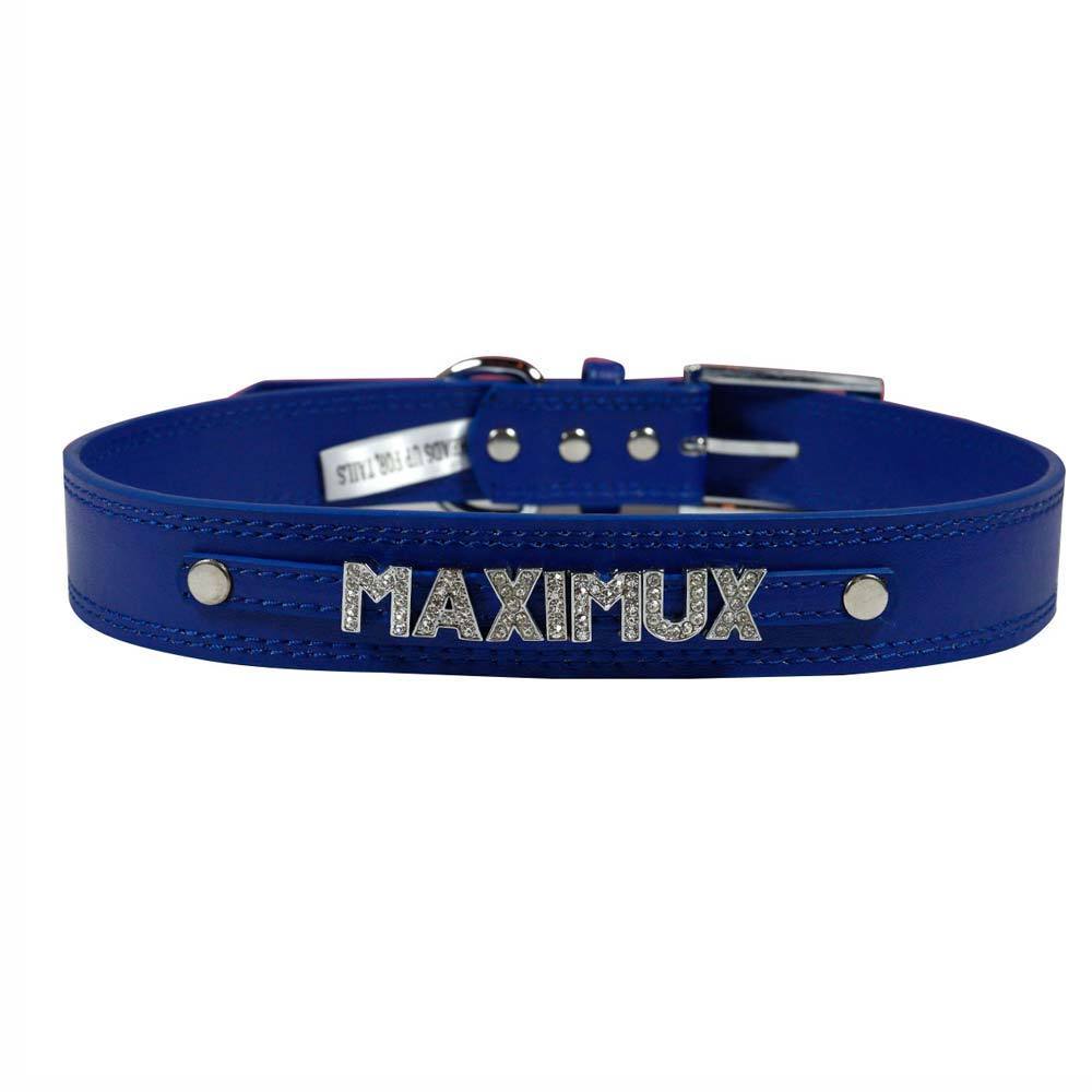 HUFT Blue Personalised Collar (Upto 5 Letters) - Heads Up For Tails