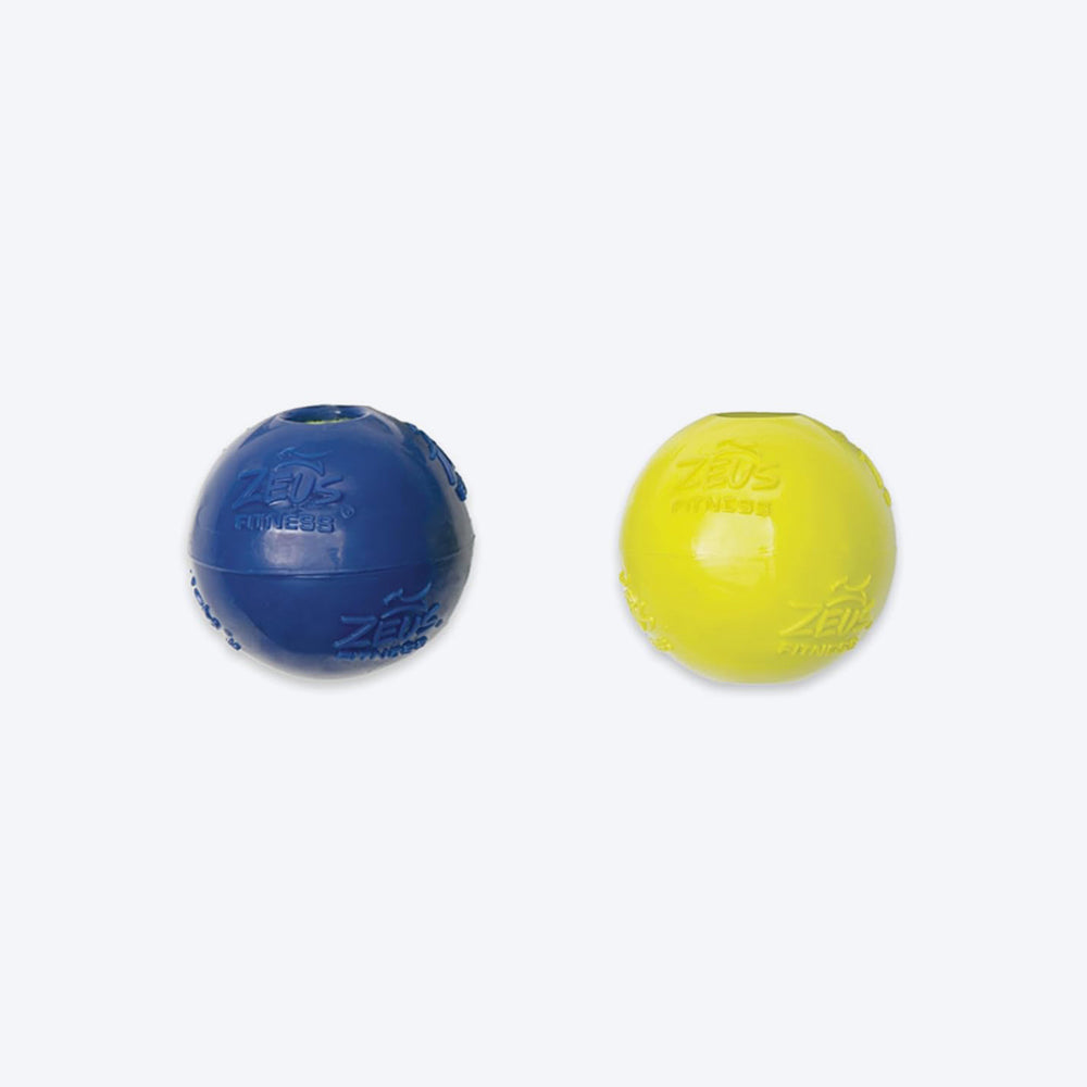 Zeus Fitness TPR Encased Tennis Ball Fetch Dog Toy - Green/Blue_01