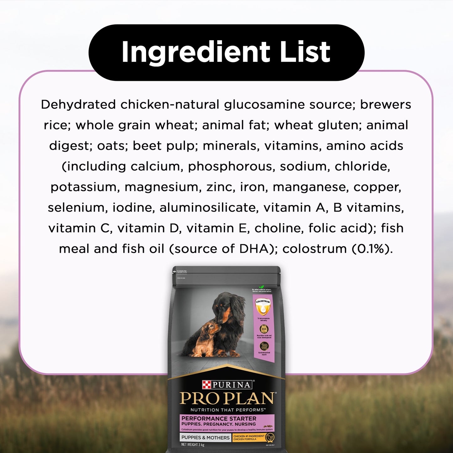PURINA PRO PLAN Performance Starter Kit Dry Food For Puppy - Heads Up For Tails