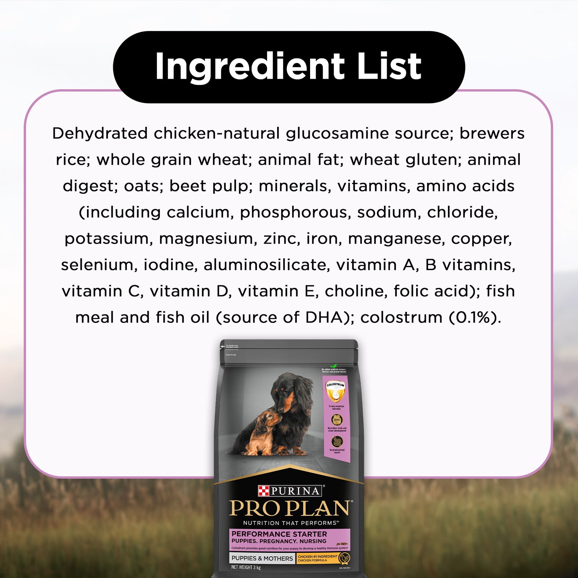 PURINA PRO PLAN Performance Starter Kit Dry Food For Puppy - Heads Up For Tails
