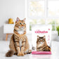 Intersand Cat Exclusive Clumping Cat Litter - Baby Powder - 10 kg