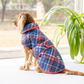 HUFT Grrberry Quilted Print Jacket For Dog - Blue & Coral - Heads Up For Tails