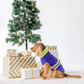 Dash Dog Winter Prism Sweater For Dog - Purple - Heads Up For Tails