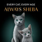 Sheba Deluxe Premium (1+ Years) Tuna and Prawns in Gravy Adult Wet Cat Food - 85 g - Pack - Heads Up For Tails