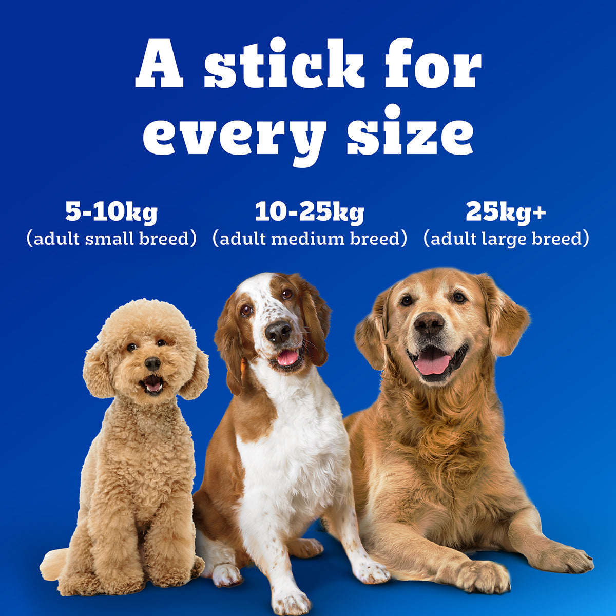 Pedigree Dentastix Dog Treat Weekly Pack For Medium Breed - 180 g - Heads Up For Tails