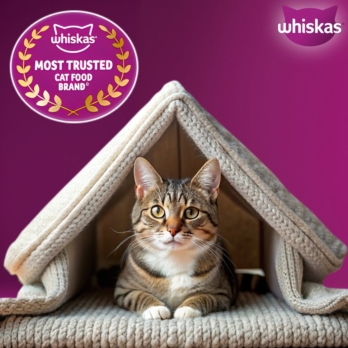 Whiskas Adult (1+ Years) Ocean Fish Flavour Dry Cat Food - Heads Up For Tails