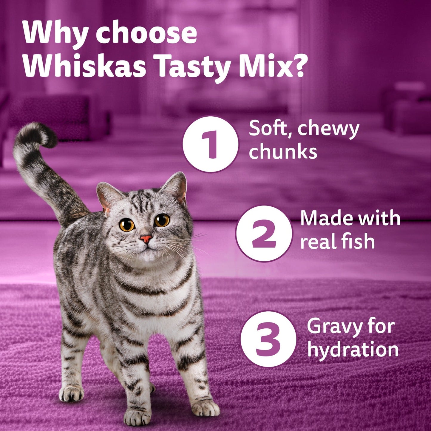 Whiskas Tasty Mix Wet Food Made With Real Fish (Seafood Cocktail & Wakame Seaweed) in Gravy For Adult (1+ year) Cat - 70 gm Pack - Heads Up For Tails