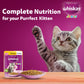 Whiskas Chicken in Gravy (2-12 Months) Wet Food For Junior Kitten - 80 gm Pack - Heads Up For Tails