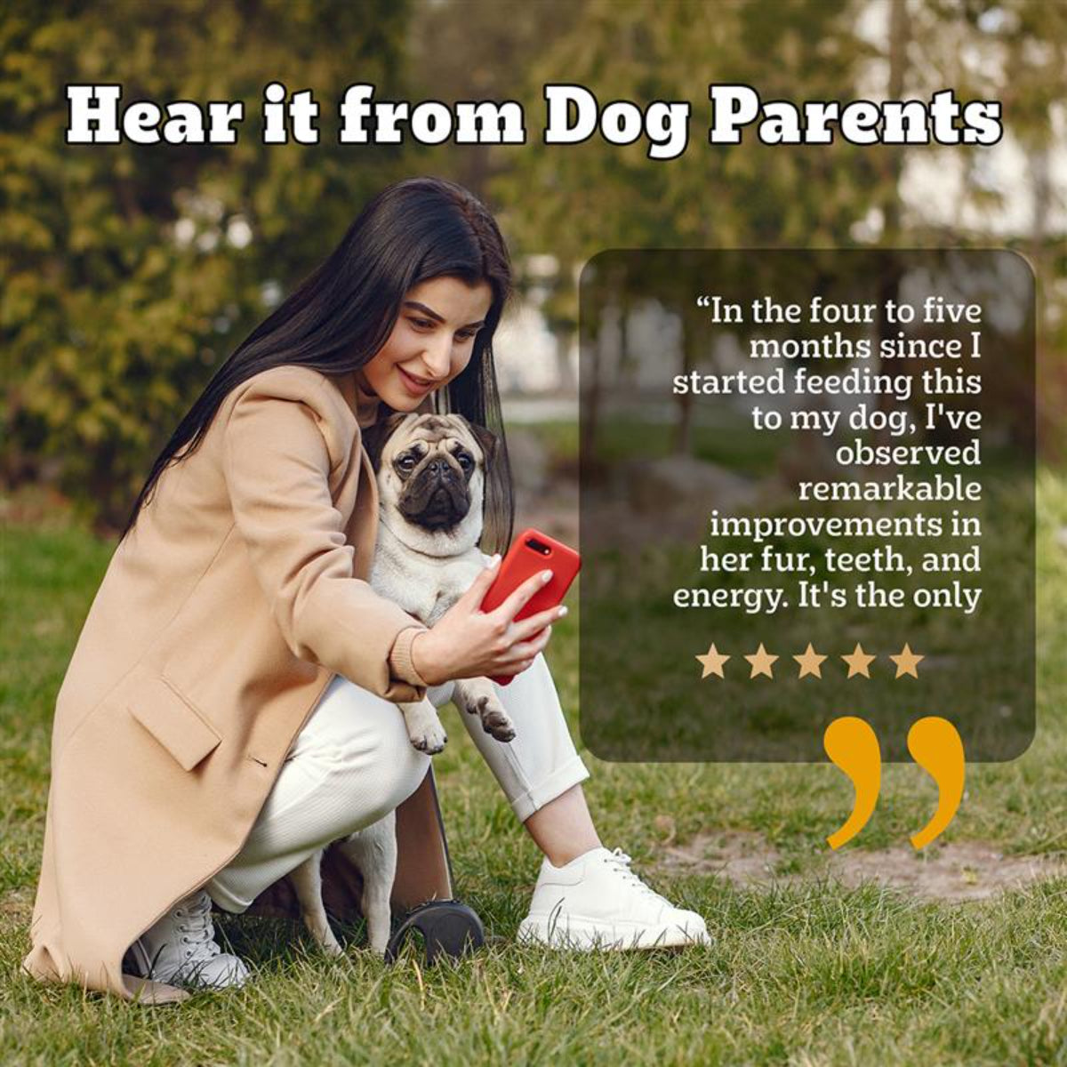 Pedigree PRO Expert Nutrition Adult Small Breed Dogs (9 Months Onwards) Dry Dog Food - Heads Up For Tails