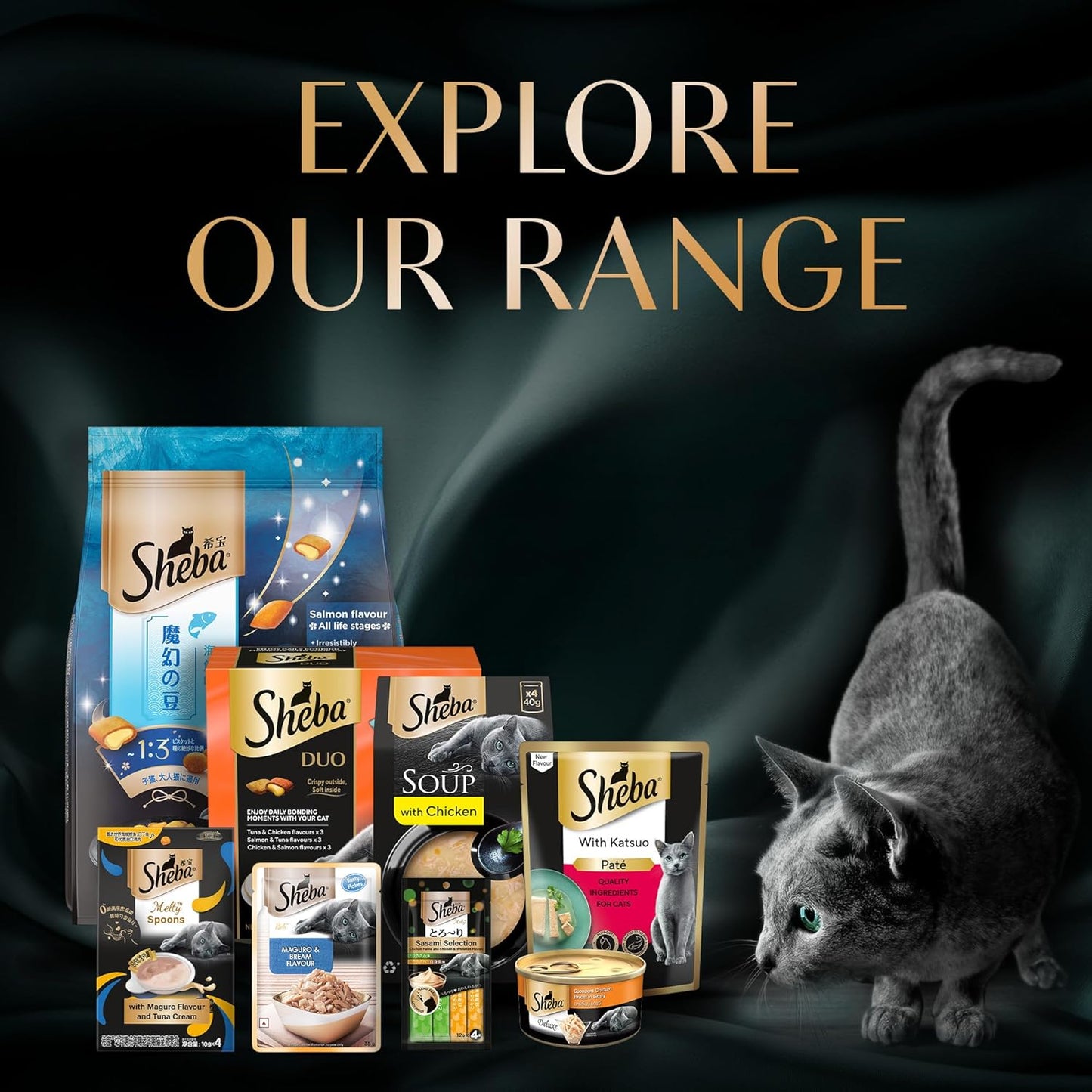 Sheba Maguro Pate Wet Food For Kitten - 70 gm - Heads Up For Tails