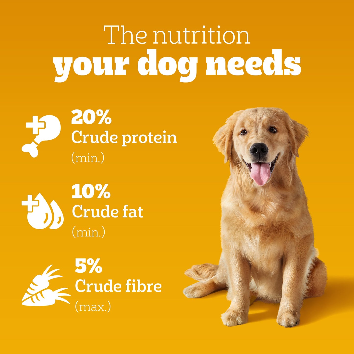 Pedigree Chicken & Vegetables Dry Food For Adult Dog