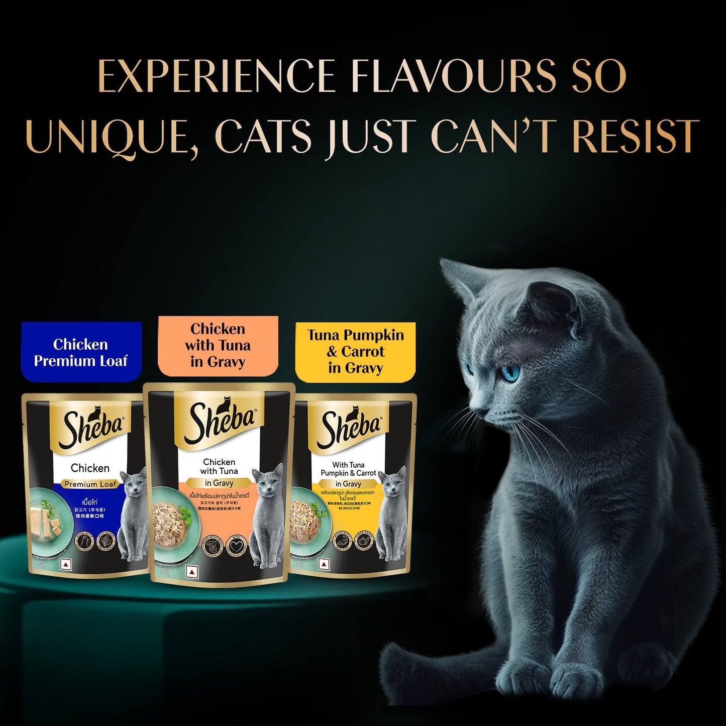 Sheba Chicken Premium Loaf Wet Kitten Food - 70 gm Packs