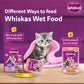 Whiskas Junior Kitten (2-12 Months) Salmon in Jelly Flavour Wet Cat Food - 80 gm Pack