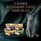 Sheba Deluxe Premium (1+ Years) Tuna Fillets in Jelly Adult Wet Cat Food - 85 g - Pack - Heads Up For Tails