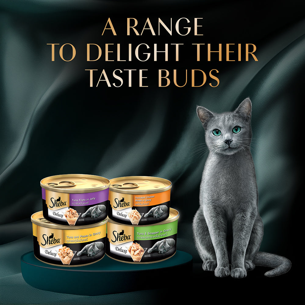 Sheba Deluxe Premium (1+ Years) Tuna Fillets in Jelly Adult Wet Cat Food - 85 g - Pack - Heads Up For Tails