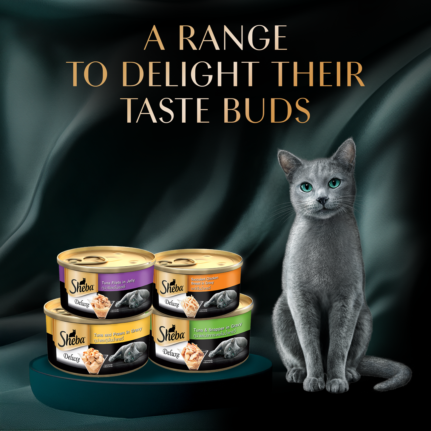 Sheba Deluxe Premium (1+ Years) Succulent Chicken Breast in Gravy Adult Wet Cat Food - 85 gm Packs - Heads Up For Tails