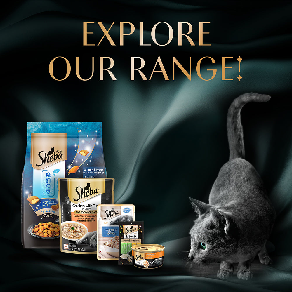 Sheba Deluxe Premium (1+ Years) Tuna Fillets in Jelly Adult Wet Cat Food - 85 g - Pack - Heads Up For Tails