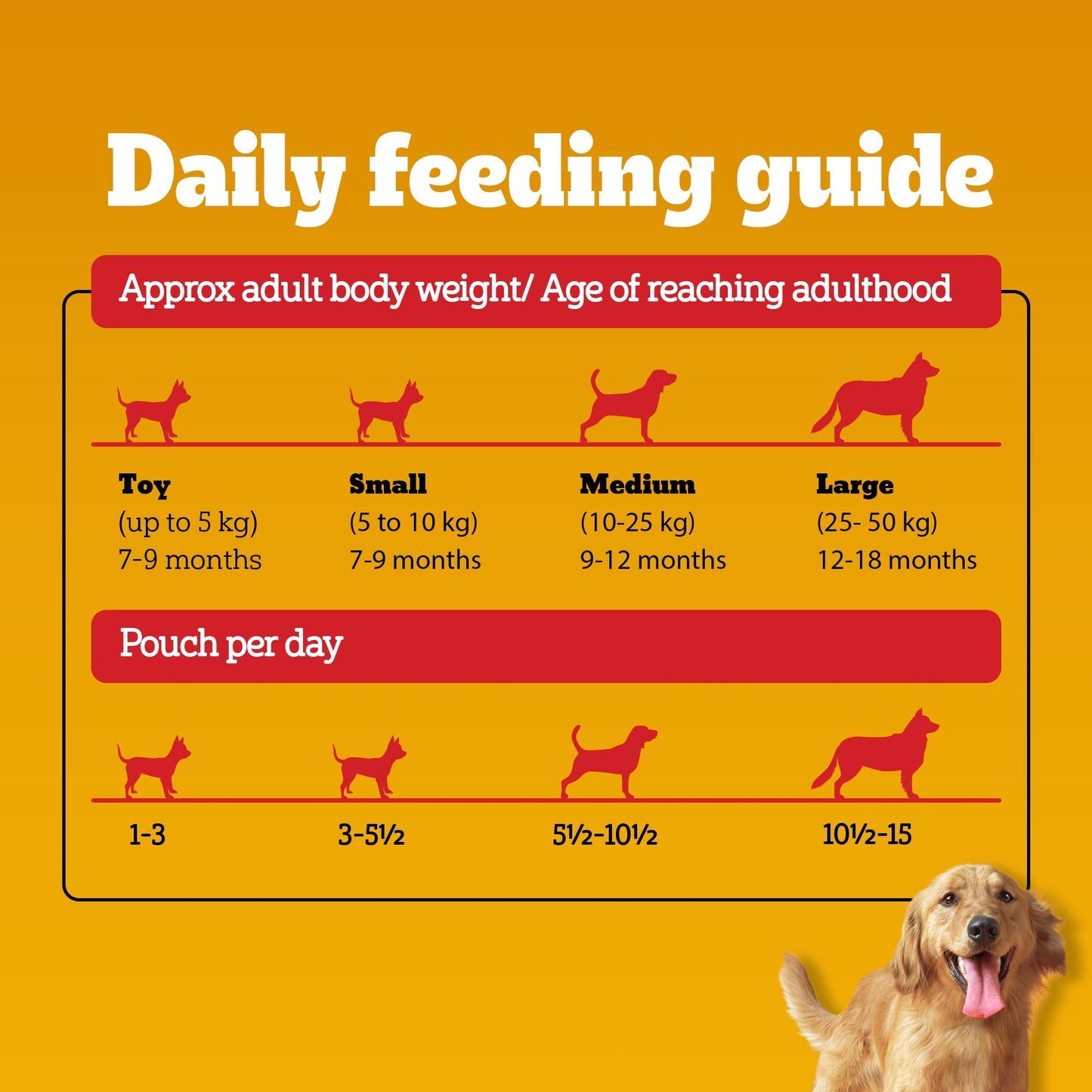 Pedigree Chicken & Liver Chunks in Gravy Adult Wet Dog Food - 70 g packs - Heads Up For Tails