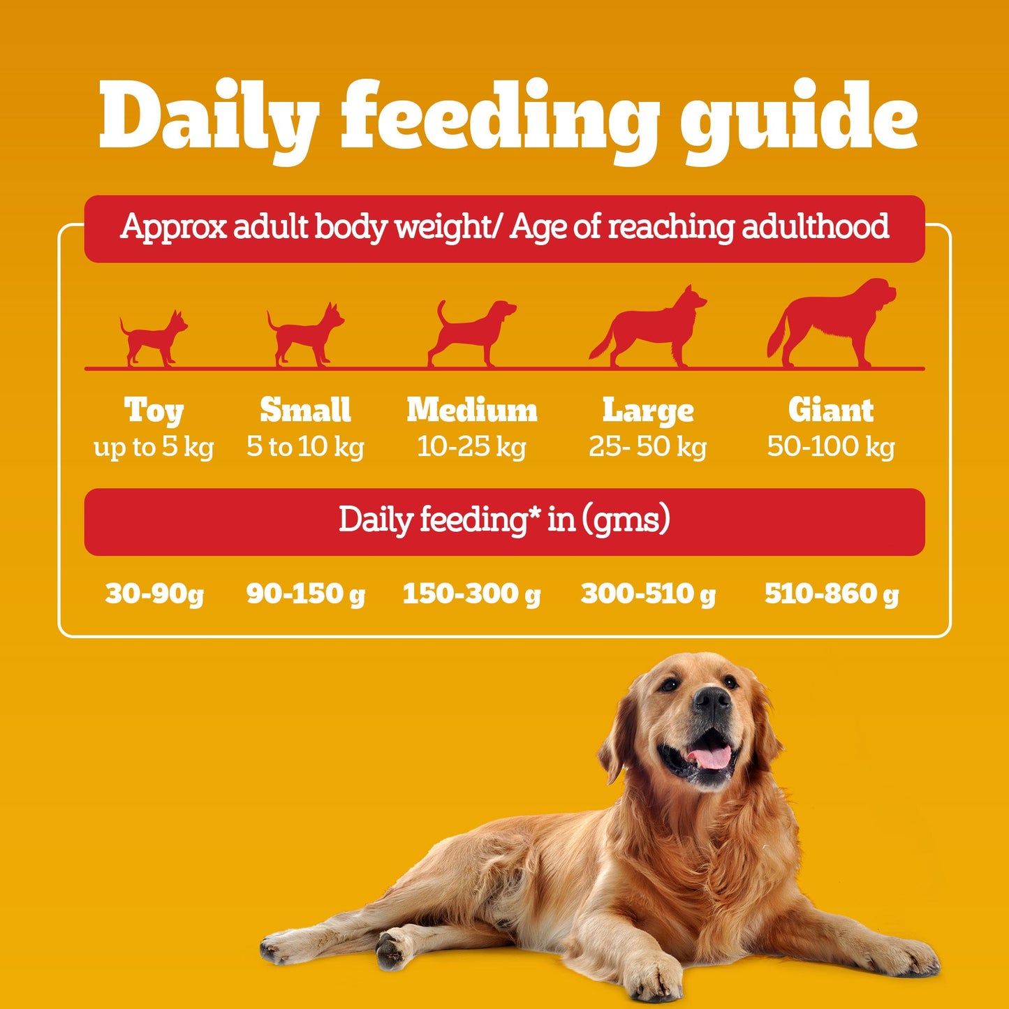 Pedigree Chicken & Vegetables Dry Food For Adult Dog