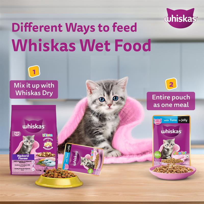 Whiskas Chicken in Gravy (2-12 Months) Wet Food For Junior Kitten - 80 gm Pack - Heads Up For Tails