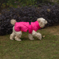 HUFT Starburst Snuggle Jacket For Dog - Pink - Heads Up For Tails