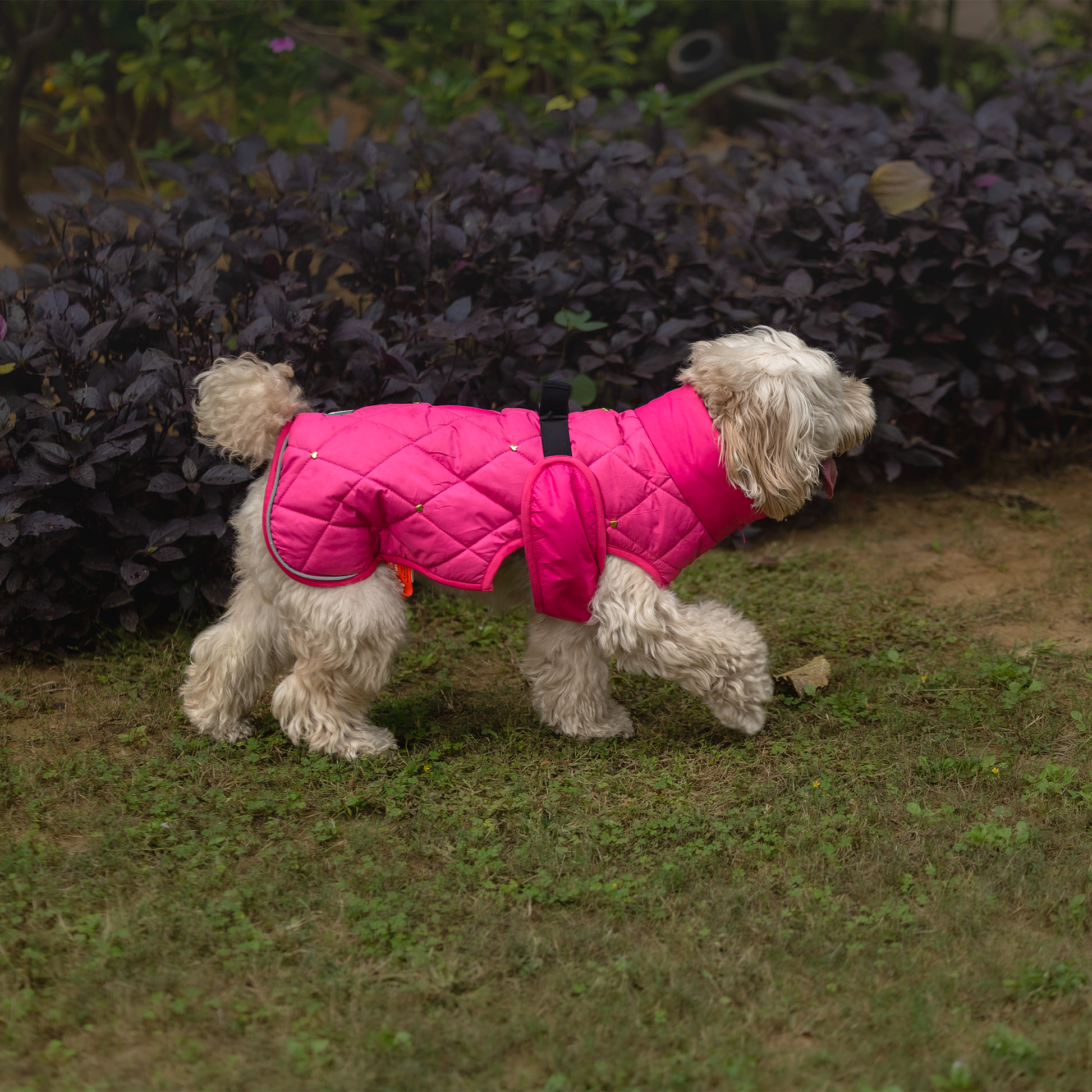 HUFT Starburst Snuggle Jacket For Dog - Pink - Heads Up For Tails
