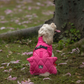 HUFT Starburst Snuggle Jacket For Dog - Pink - Heads Up For Tails