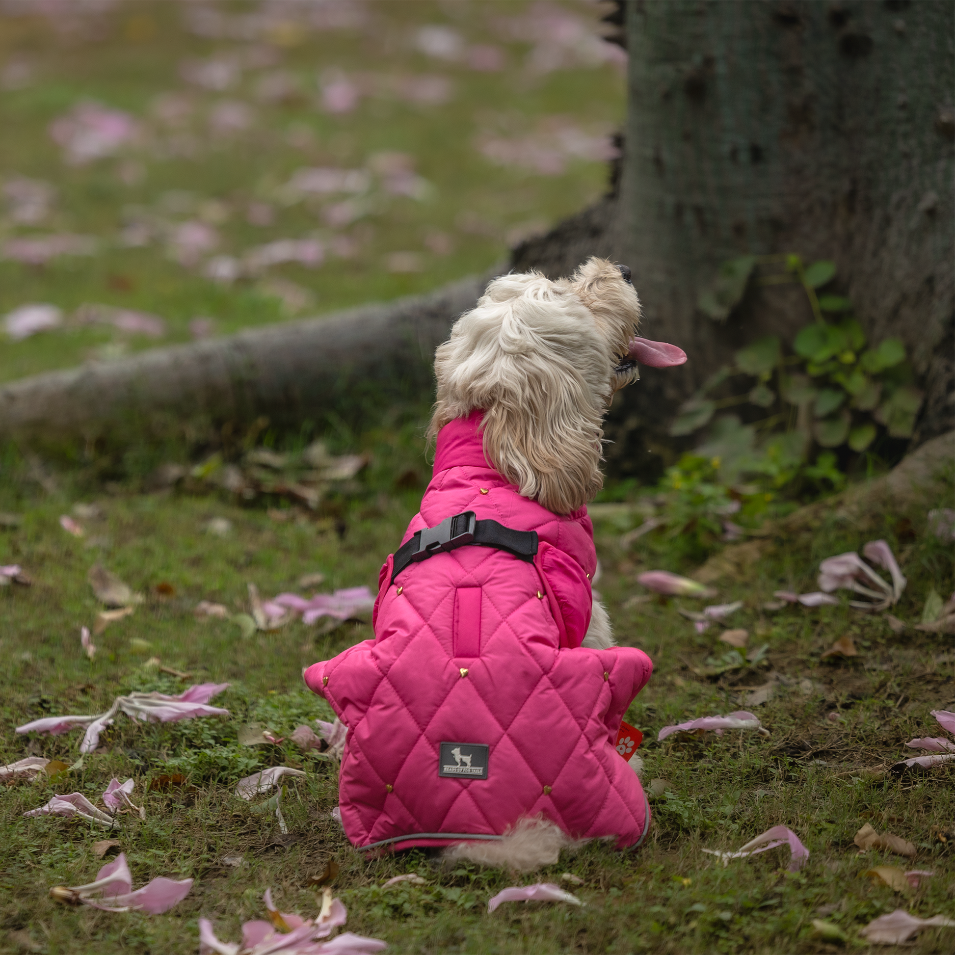 HUFT Starburst Snuggle Jacket For Dog - Pink - Heads Up For Tails