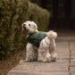 HUFT Puffer Paws Jacket For Big Dog - Green - Heads Up For Tails