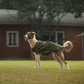 HUFT Puffer Paws Jacket For Big Dog - Green - Heads Up For Tails