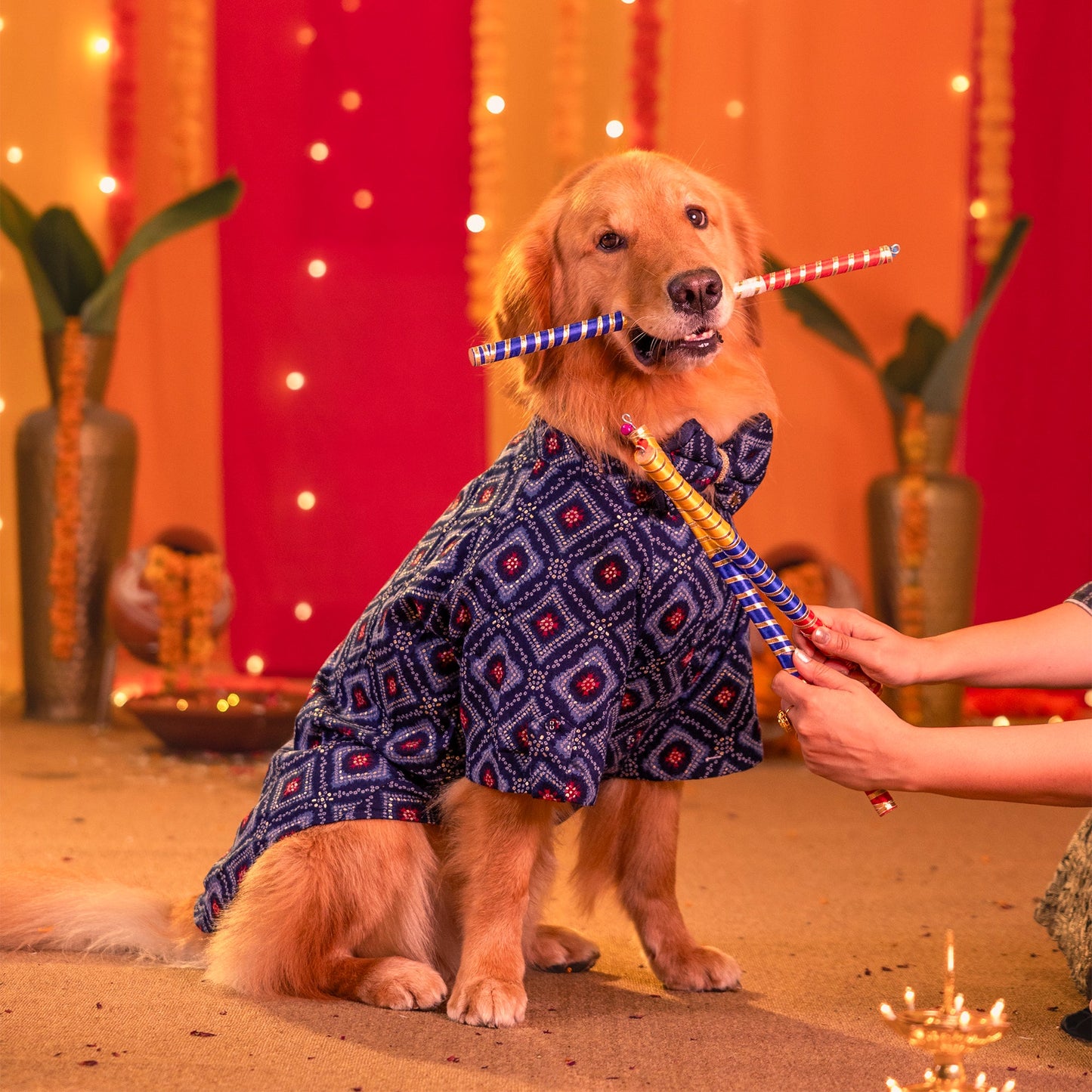 HUFT Rang Riwaz Kurta For Dog & Cat - Blue - Heads Up For Tails