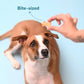 HUFT Apple Crunch Mix - Saraâ€šÂ¬Ã…Â¡Â¬â€¦Â¡Â¬â€šÂ¬Ã…Â¡Â¬â€¦Â¾Â¢s Fresh Food, Treats & Vegetarian Biscuits - Heads Up For Tails