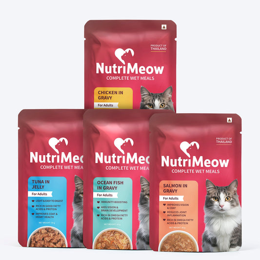 NutriMeow All in One Combo Wet Food for Adult Cat â€“ Ocean Fish, Chicken, Salmon in Gravy & Tuna in Jelly - 80 gm - Heads Up For Tails