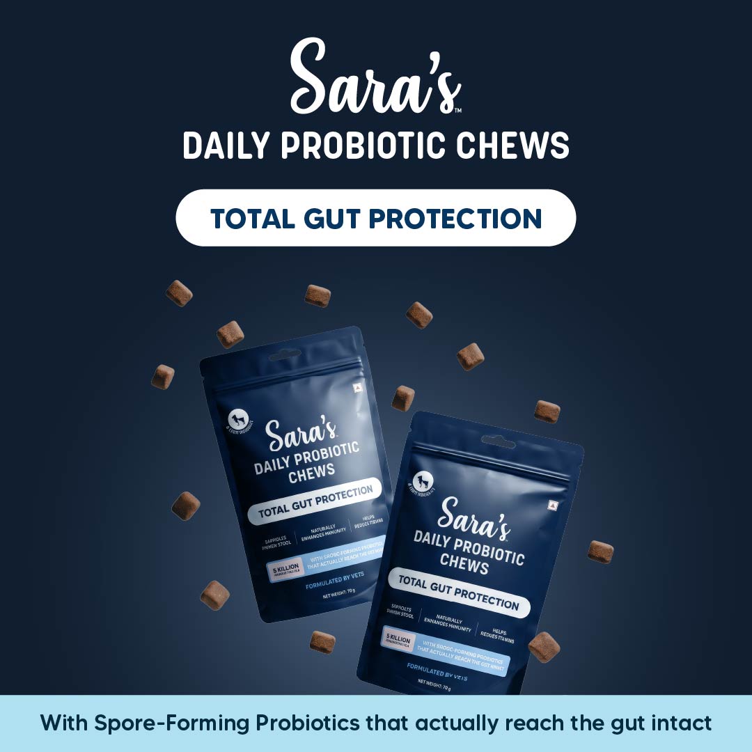 Sara's Daily Probiotic Chews: Gut & Digestive Support - 70 g